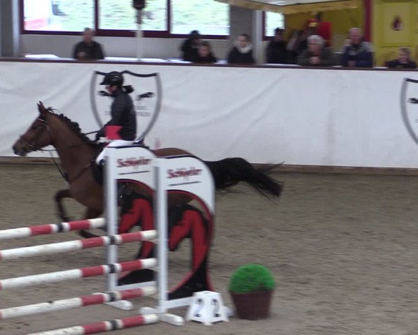 Reitturnier Prussendorf 2024