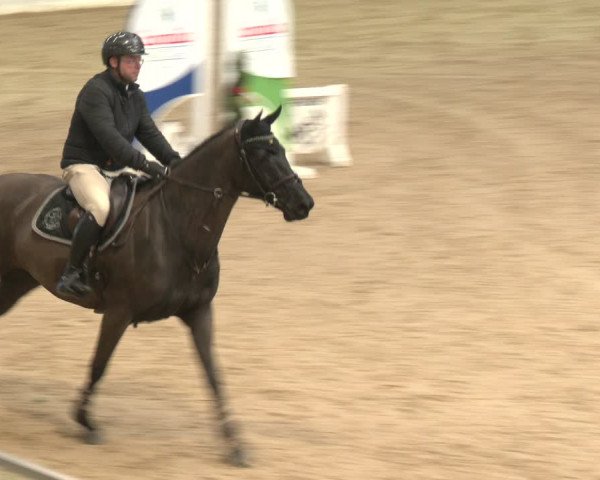 Reitturnier Stadl-Paura 2024