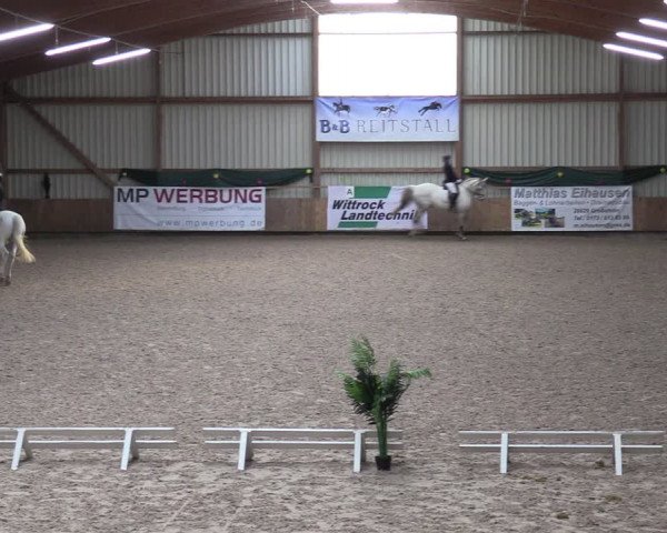 Reitturnier Hesel 2024