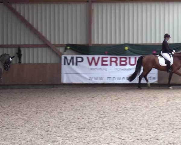 Reitturnier Hesel 2024