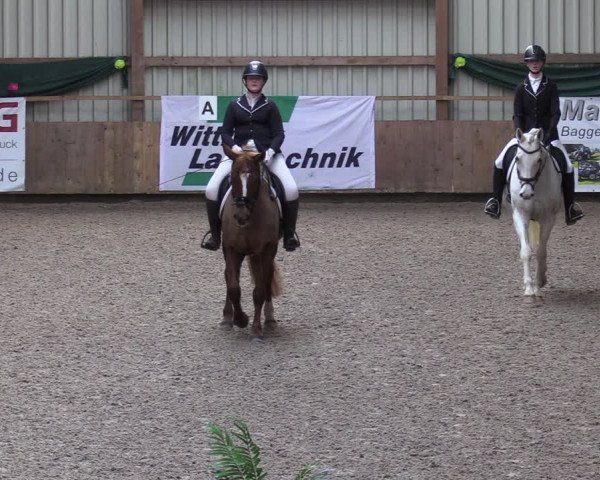 Reitturnier Hesel 2024