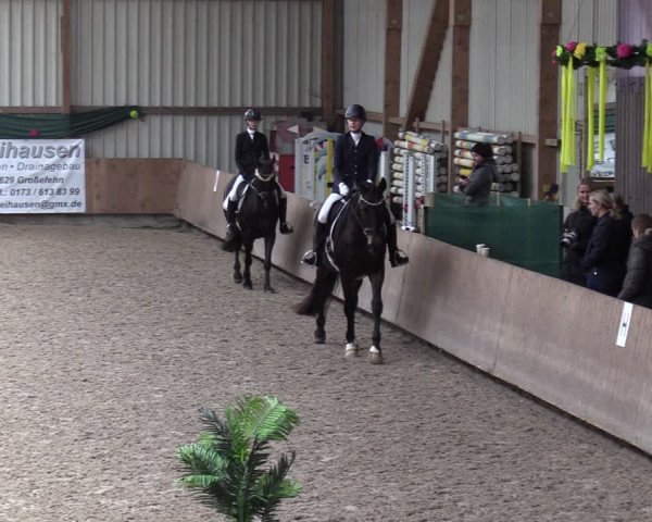 Reitturnier Hesel 2024