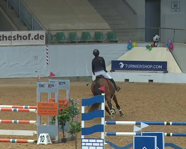 Reitturnier Kreuth/Opf. 2024
