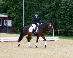 Zuchtstute Fabeltraum (Trakehner, 2008, von Insterburg TSF)