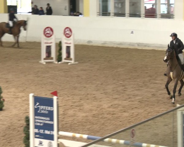 Reitturnier Stadl-Paura 2024