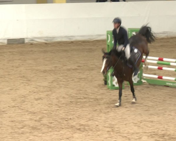 Reitturnier Stadl-Paura 2024
