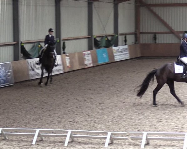 Reitturnier Hesel 2024
