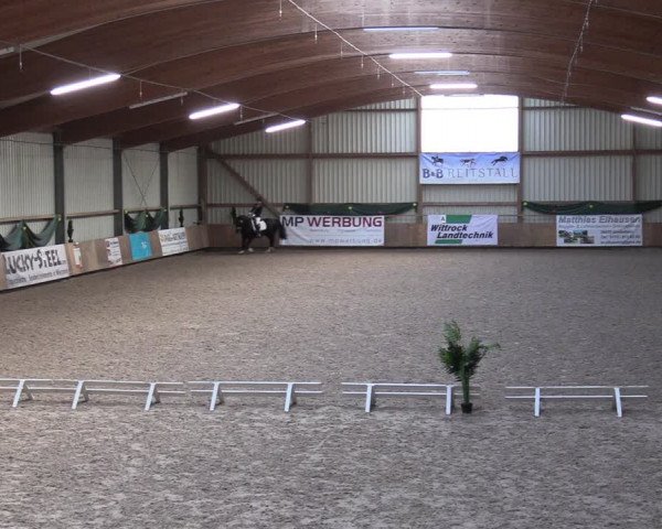 Reitturnier Hesel 2024