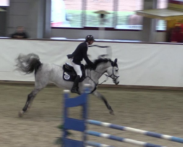 Reitturnier Prussendorf 2024