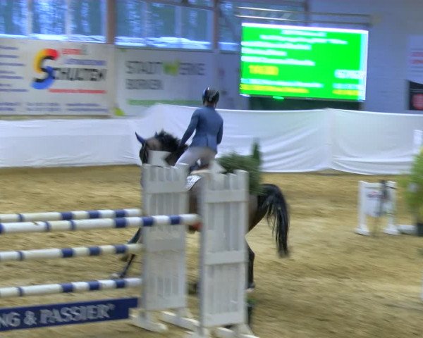 Reitturnier Borken 2024
