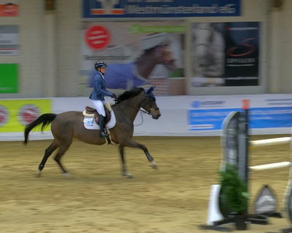 Reitturnier Borken 2024