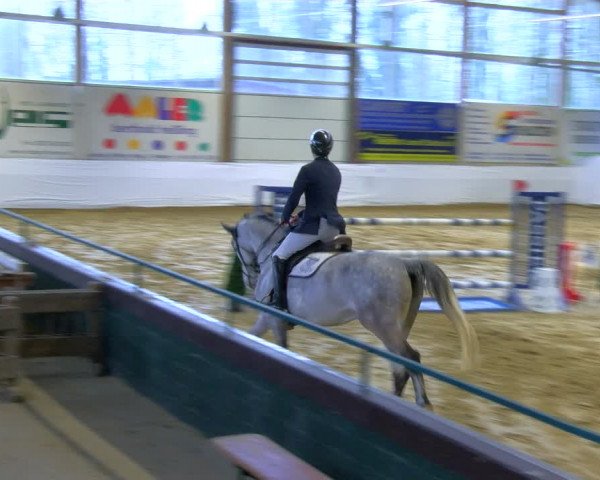 Reitturnier Borken 2024