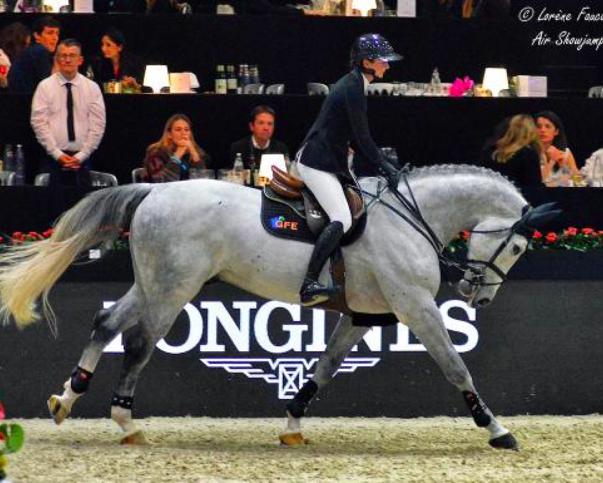 Semental Excalibur de la Tour Vidal (Caballo deportivo belga, 2010, de Ugano Sitte)