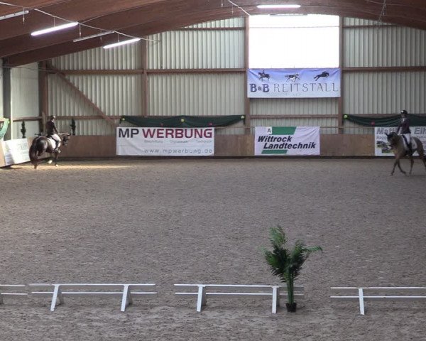 Reitturnier Hesel 2024