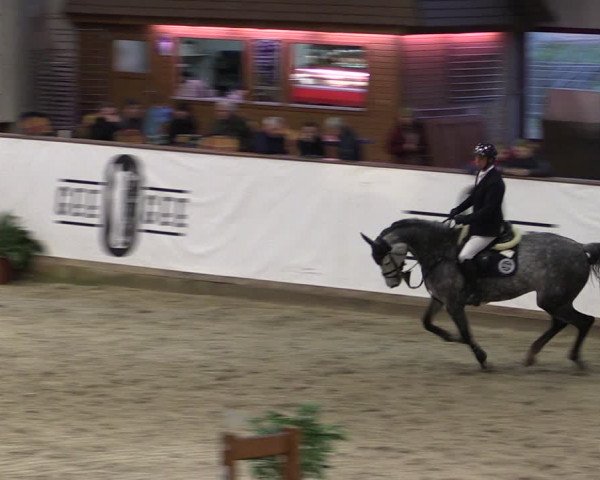 Reitturnier Prussendorf 2024