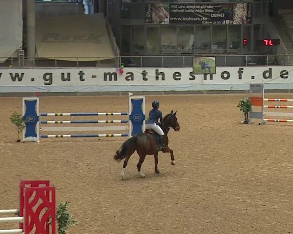 Reitturnier Kreuth/Opf. 2024