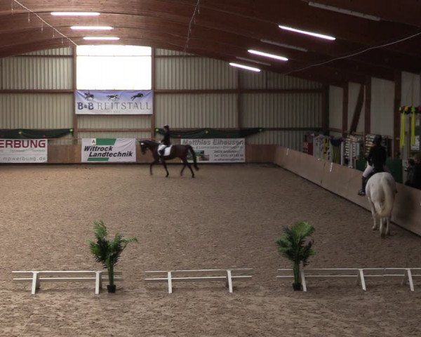 Reitturnier Hesel 2024