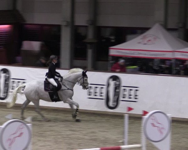Reitturnier Prussendorf 2024