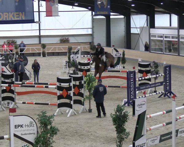Reitturnier Borken 2024