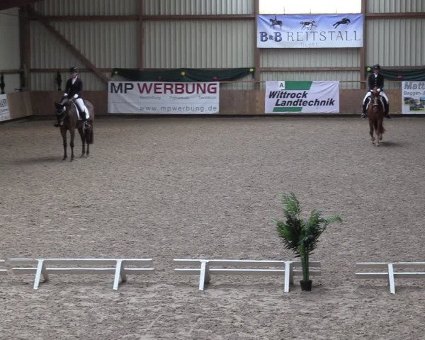 Reitturnier Hesel 2024