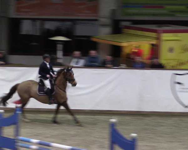 Reitturnier Prussendorf 2024