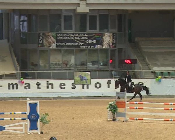 Reitturnier Kreuth/Opf. 2024