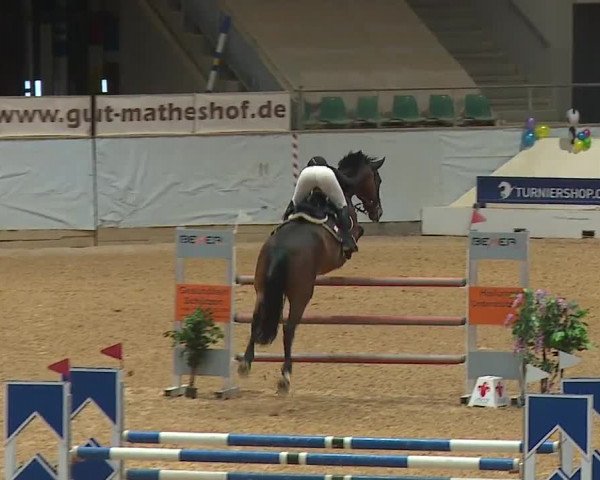 Reitturnier Kreuth/Opf. 2024