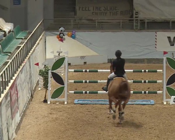 Reitturnier Kreuth/Opf. 2024