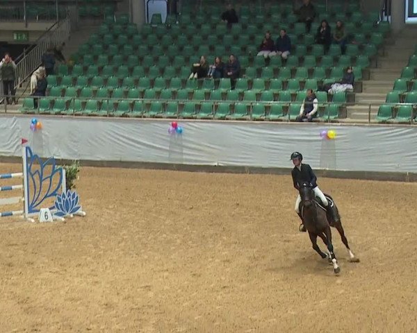 Reitturnier Kreuth/Opf. 2024