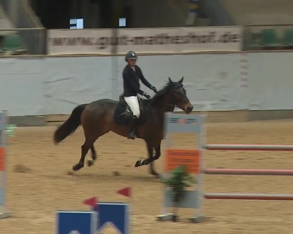 Reitturnier Kreuth/Opf. 2024