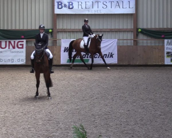 Reitturnier Hesel 2024