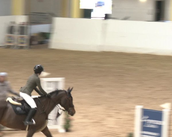 Reitturnier Stadl-Paura 2024