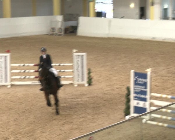 Reitturnier Stadl-Paura 2024