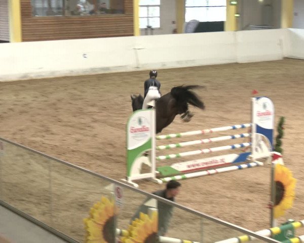 Reitturnier Stadl-Paura 2024