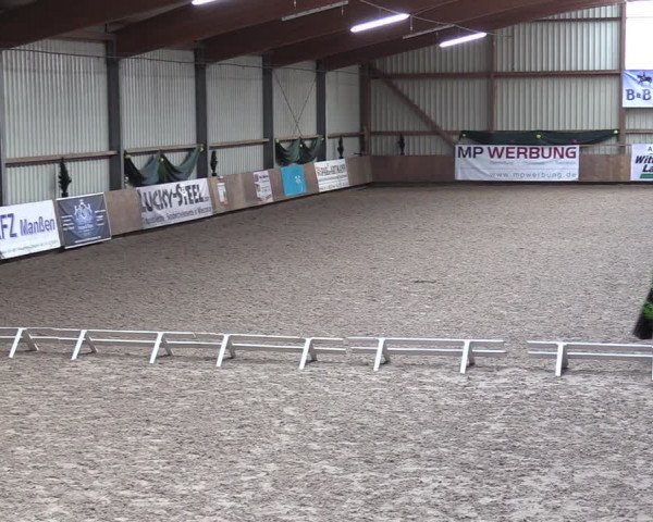 Reitturnier Hesel 2024