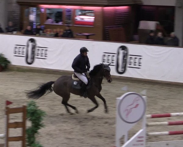 Reitturnier Prussendorf 2024