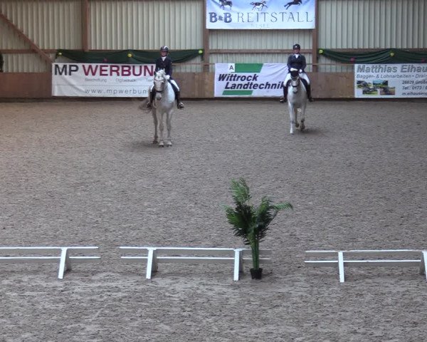 Reitturnier Hesel 2024