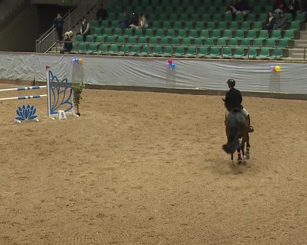 Reitturnier Kreuth/Opf. 2024
