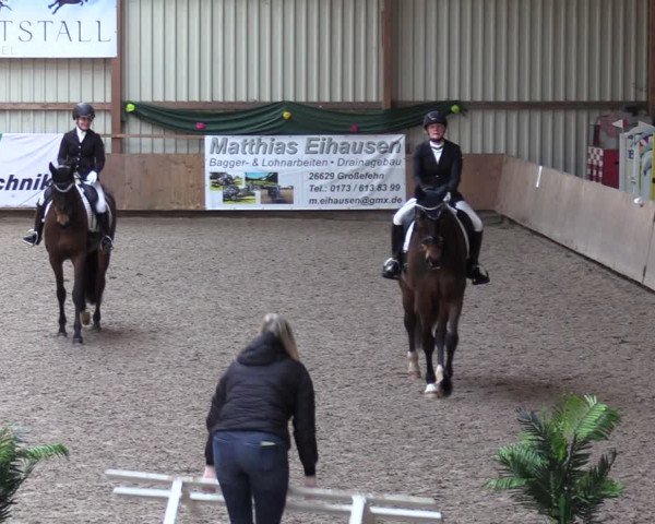 Reitturnier Hesel 2024