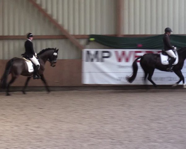 Reitturnier Hesel 2024