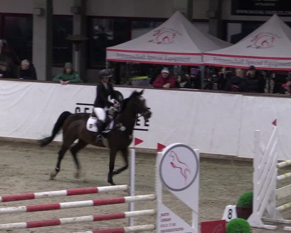 Reitturnier Prussendorf 2024