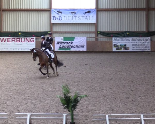 Reitturnier Hesel 2024