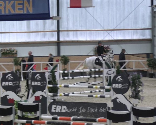 Reitturnier Borken 2024