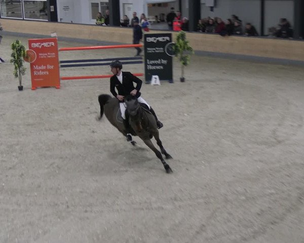 Reitturnier Borken 2024