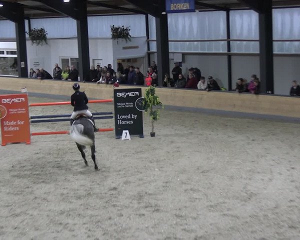 Reitturnier Borken 2024