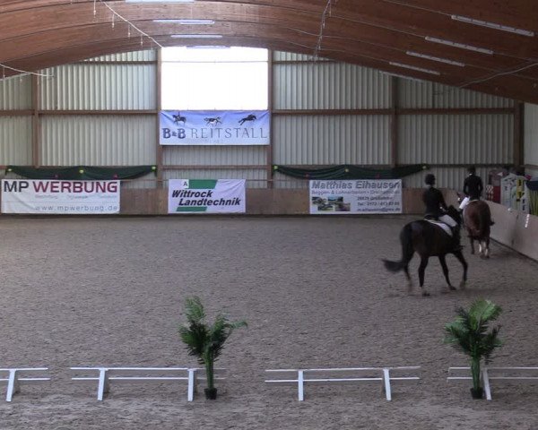 Reitturnier Hesel 2024