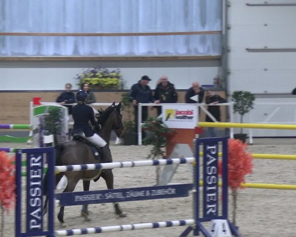 Reitturnier Borken 2024