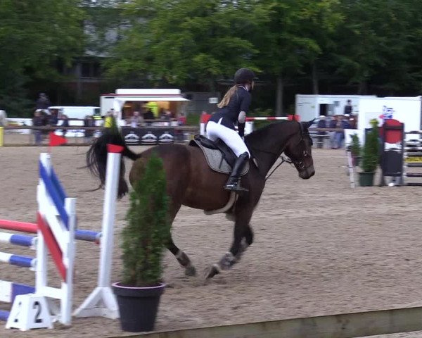 Reitturnier Albersdorf Dithmarsenpark 2021