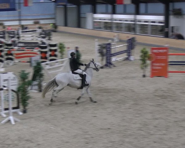 Reitturnier Borken 2024