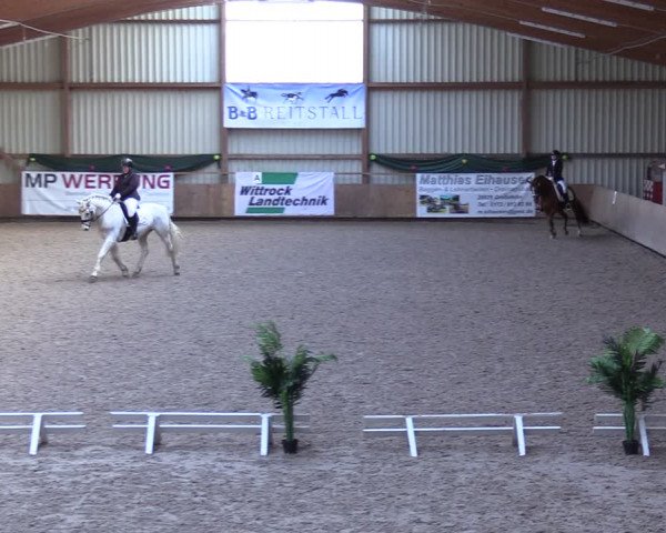 Reitturnier Hesel 2024